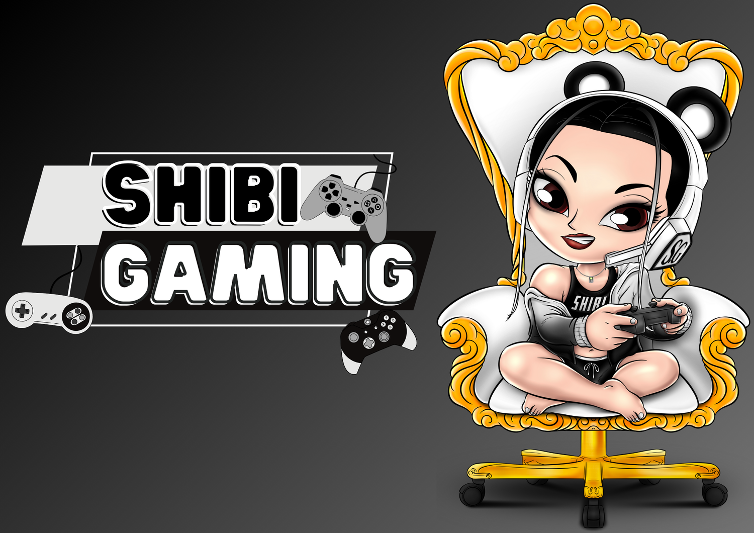 SHIBI PLAYER 5